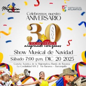 Boleta Show de Navidad